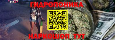 спиды Долгопрудный