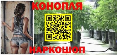 спиды Долгопрудный