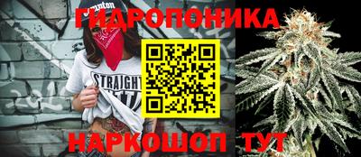 кокс Добрянка
