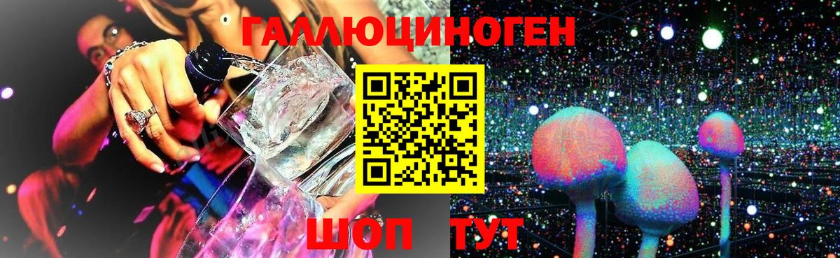 Галлюциногенные грибы Cubensis Строитель
